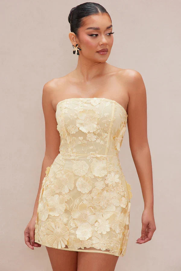 Marcella Embroidered A-Line Mini Dress - Yellow